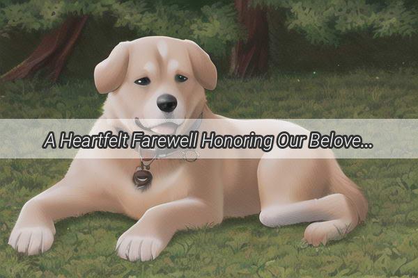 A Heartfelt Farewell Honoring Our Beloved Pet Through a Touching Ritual